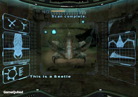 Scan Complete